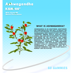 Vitamin B5 Gummies Manufacturer - Vegetarian for Metabolism Energy Healing OEM ODM