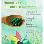 Chlorella Spirulina Capsules Manufacturer - Organic for Weight Loss Intestinal Health
