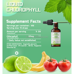 Chlorophyll Drops Manufacturer - Halal Vegan for Intestinal Health Digestion Support
