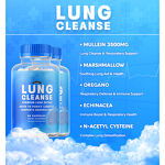 Lung Cleanse Capsules Manufacturer - Smoking Relief Immunity Boost Antioxidant