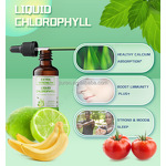 Chlorophyll Drops Manufacturer - Halal Vegan for Intestinal Health Digestion Support