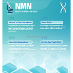NMN Capsules Manufacturer - 99% Niacinamide Mononucleotide Whitening OEM