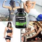 L-Carnitine Capsules Manufacturer - Halal CLA 60 Capsules Dietary Slimming Product & VitaSpring