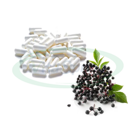 Elderberry Capsules Manufacturer - Black Extract with Vitamin C for Immune Health & VitaSpring OEM