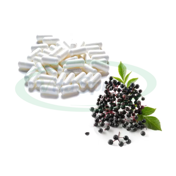 Elderberry Capsules Manufacturer - Black Extract with Vitamin C for Immune Health & VitaSpring OEM