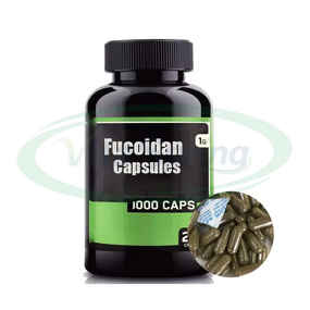 Fucoidan Capsules Manufacturer - Extract for Immune Health Herbal Supplement & VitaSpring OEM