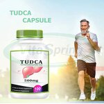 TUDCA Capsules Manufacturer - 500mg 2000mg Tauroursodeoxycholic Acid for Liver Support & VitaSpring