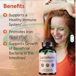 Lactoferrin Capsules Manufacturer - Bovine Colostrum Food Grade Dietary Supplement Private Label & VitaSpring