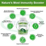 Moringa Capsules Manufacturer - Organic Leaf Powder Metabolism Immune Supplement Private Label OEM & VitaSpring