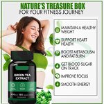 Green Tea Capsules Manufacturer - 1000mg L-Carnitine with Moringa Extract Probiotics & VitaSpring