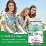Sea Moss Gummies Manufacturer - Organic Candy Supplement Wholesale Private Label & VitaSpring OEM