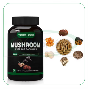 Mushroom Capsules Manufacturer - Dried Lions Mane Extract with Reishi Cordyceps Chaga & VitaSpring OEM