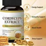 Cordyceps Tablets Manufacturer - 500mg Pure Cordyceps Sinensis Extract Health Supplement & VitaSpring OEM