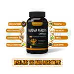 Fadogia Agrestis Capsules Manufacturer - Herbal Extract with Tongkat Ali & VitaSpring OEM