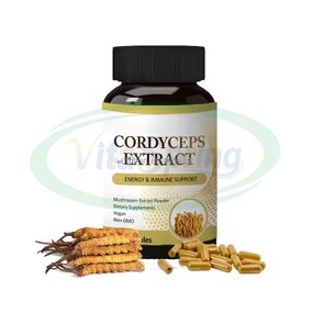 Cordyceps Tablets Manufacturer - 500mg Pure Cordyceps Sinensis Extract Health Supplement & VitaSpring OEM
