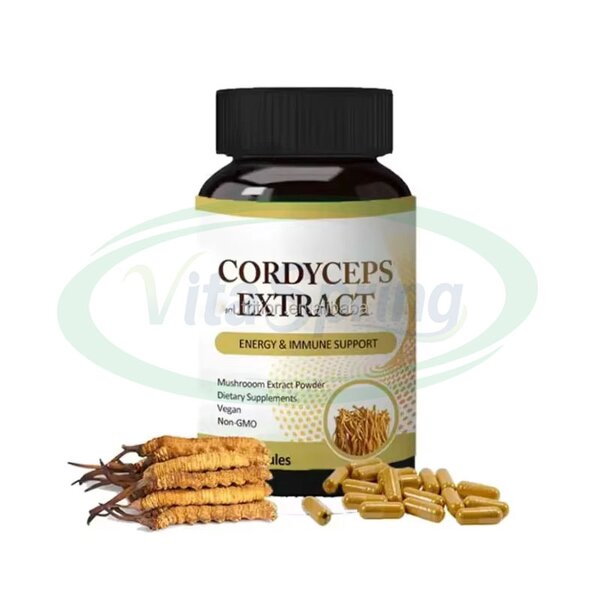 Cordyceps Tablets Manufacturer - 500mg Pure Cordyceps Sinensis Extract Health Supplement & VitaSpring OEM