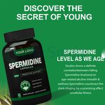 Spermidine Capsules Manufacturer - 1% Wheat Germ Extract Dietary Supplement Vegan & VitaSpring