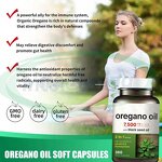 Oregano Oil Capsules Manufacturer - 300mg Wild Organic with Black Seed Oil & VitaSpring