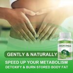 Moringa Capsules Manufacturer - Organic Leaf Powder Metabolism Immune Supplement Private Label OEM & VitaSpring