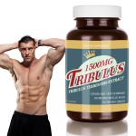 Enhance Energy Endurance Supplement Super Gummy Complex Manufacturer - Man's Health Gummies with Custom Manufacturing