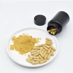 High-Quality Tongkat Ali Extract Eurycomanone Powder Manufacturer - for Men's Health with Wholesale Price