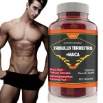 Enhance Natural Energy Booster Horny Goat Weed Gummies Manufacturer - Increase Energy Endurance Gummy Candy for Men Teenagers