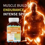 Health Supplement Pre Workout Multivitamin Protein Energy Sport Gummies Manufacturer - Creatine Monohydrate Candy