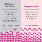 OEM/ODM/OBM Factory Custom Hydrolyzed Collagen Powder Manufacturer with Private Label Services