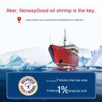 Krill Oil Astaxanthin Softgels Manufacturer - Nervonic Acid Adult Custom Processing