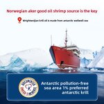 Antarctic Krill Oil Softgels Manufacturer - 56% Phospholipid DHA Vitamin Adult