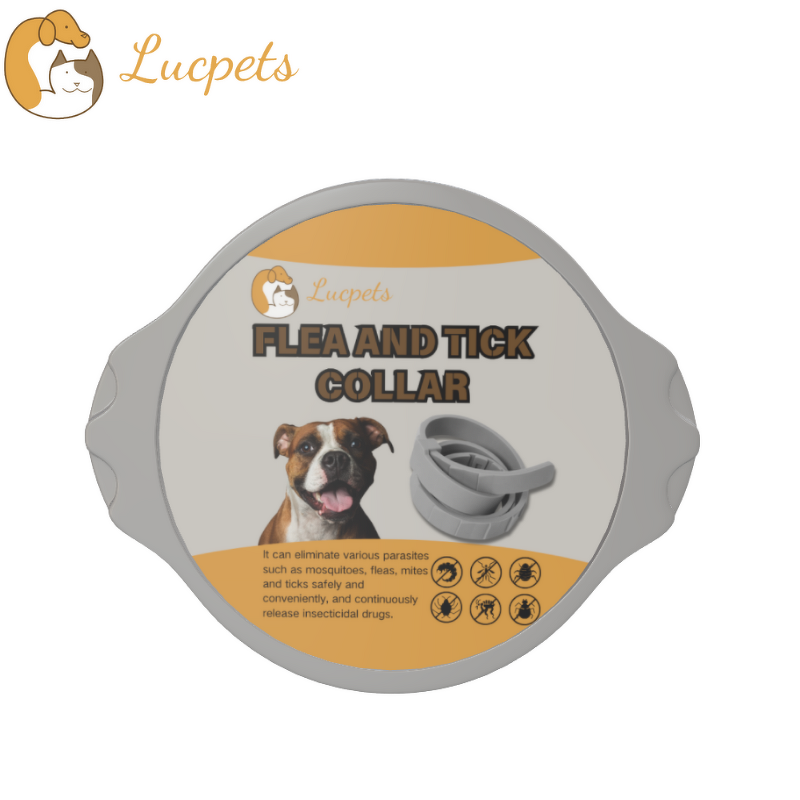 Dog Collar Leash Set Manufacturer - Macaroon Engraved Rustproof Waterproof Custom