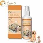 Dog Pheromone Spray Manufacturer - Behavioral Improvement Loud Noise Tolerance Training