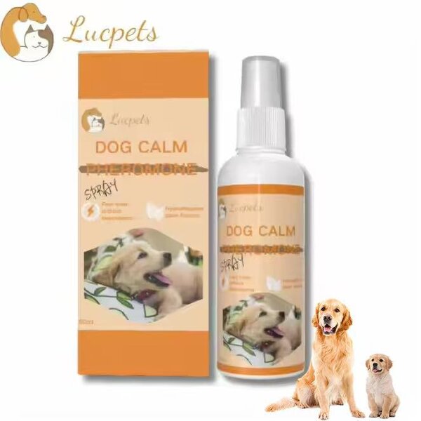 Dog Pheromone Spray Manufacturer - Behavioral Improvement Loud Noise Tolerance Training