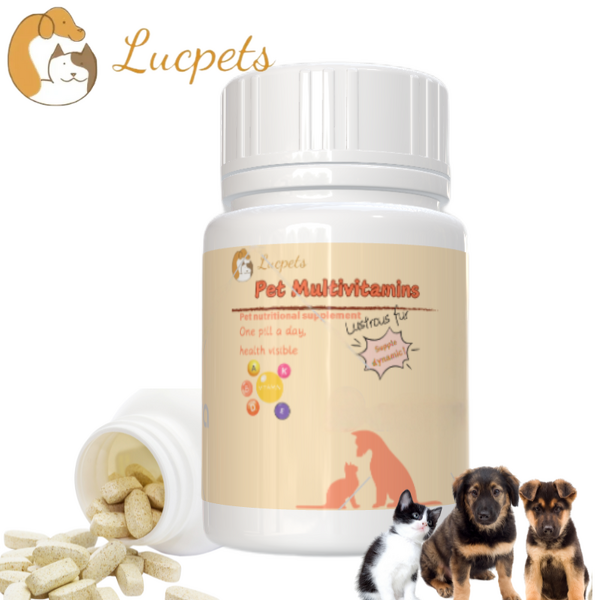 Pet Multivitamin Supplements Manufacturer - Essential Premium Nutritional Health Care