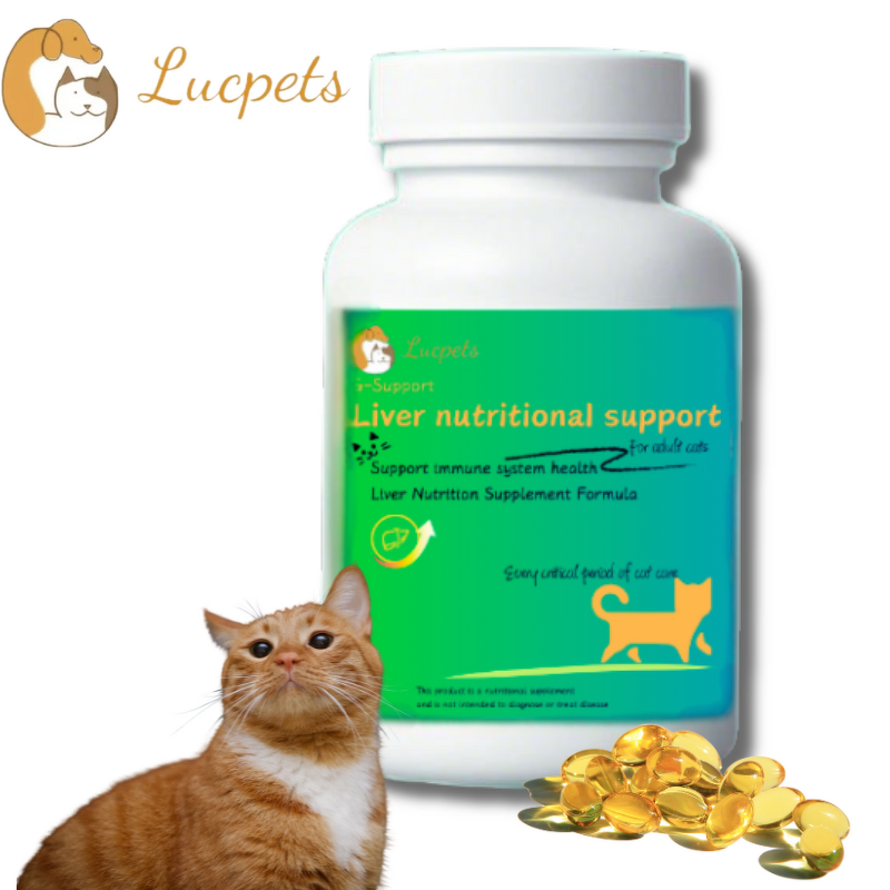 Cat Nutritional Supplements Manufacturer - G-Support Liver Gastrointestinal Health Care