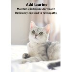 Feline Lysine Taurine Manufacturer - Viral Rhinotracheitis Symptom Alleviation