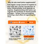 Feline Lysine Taurine Manufacturer - Viral Rhinotracheitis Symptom Alleviation