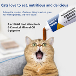 Pet Hairball Remedy Manufacturer - Nutritional Supplement for Cat Dog Hairball Relief