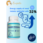 Pet Kidney Care Tablets Manufacturer - Chewable Kidney Protection Nutritional Supplement