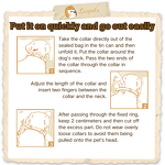 Dog Collar Leash Set Manufacturer - Macaroon Engraved Rustproof Waterproof Custom