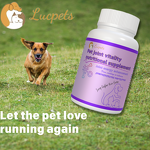 Pet Joint Care Tablets Manufacturer - Collagen Curcumin Grain-Free Cat Dog Formula