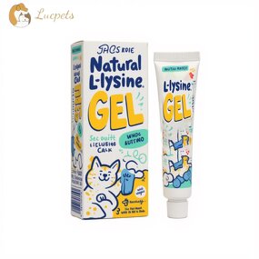 Feline Lysine Paste Manufacturer - High-Energy Immunity Vitamin Nutritional Boost