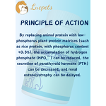 Pet Kidney Care Tablets Manufacturer - Chewable Kidney Protection Nutritional Supplement