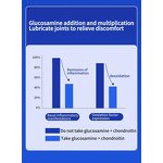 Dog Calcium Supplement Manufacturer - Joint Protection Premium Pet Health Care