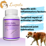 Pet Joint Care Tablets Manufacturer - Collagen Curcumin Grain-Free Cat Dog Formula
