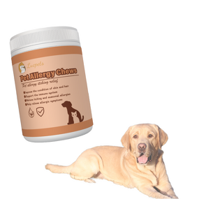 Pet Probiotic Supplement Manufacturer - Allergy Itch Relief Seasonal OEM for Cat Dog