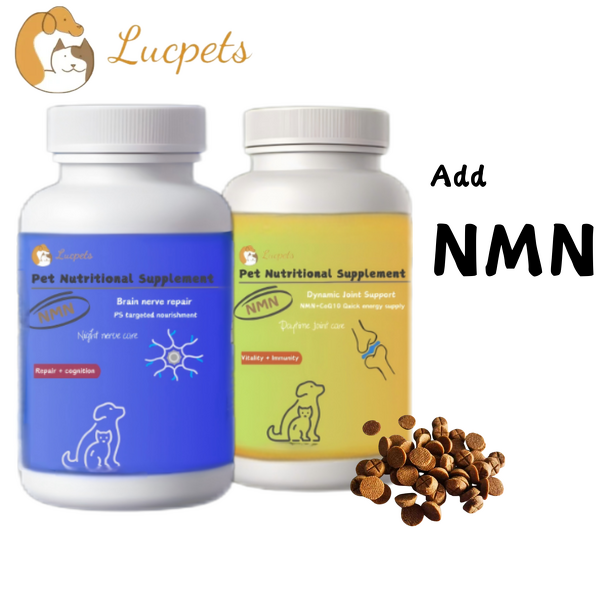NMN CoQ10 Chewable Tablets Manufacturer - Cat Dog Cognitive Joint Immune Support