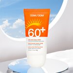 Sunscreen Cream Manufacturer - Korean Organic Anti-Freckle Vegan Whitening SPF 60 Face Body