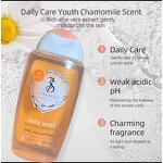 Feminine Wash Manufacturer - Portable Antibacterial Deodorant Antipruritic Liquid for Vulva Cleaning