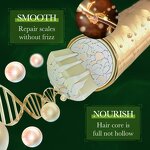 Argan Oil Manufacturer - Best Organic Moroccan & OEM Hot Sale Wholesale